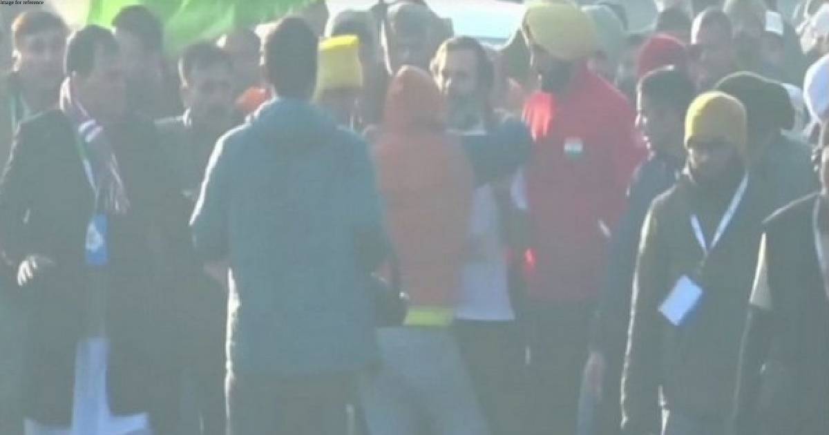 Bharat Jodo Yatra: Police say security breach as man hugs Rahul Gandhi in Punjab